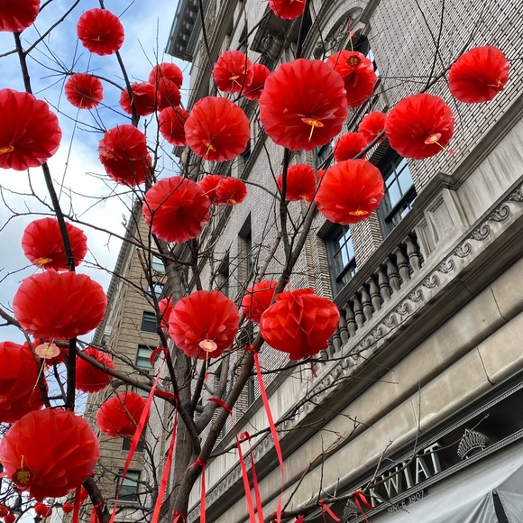 Meet your Posher, Karen - Picture 8 of 8